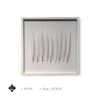 Framed White Feather